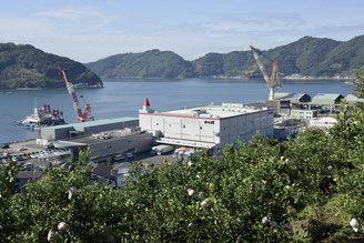 画像:2021年 日本で一番大切にしたい会社 審査委員会特別賞 受賞の㈱あわしま堂のリモートベンチマーク研修!